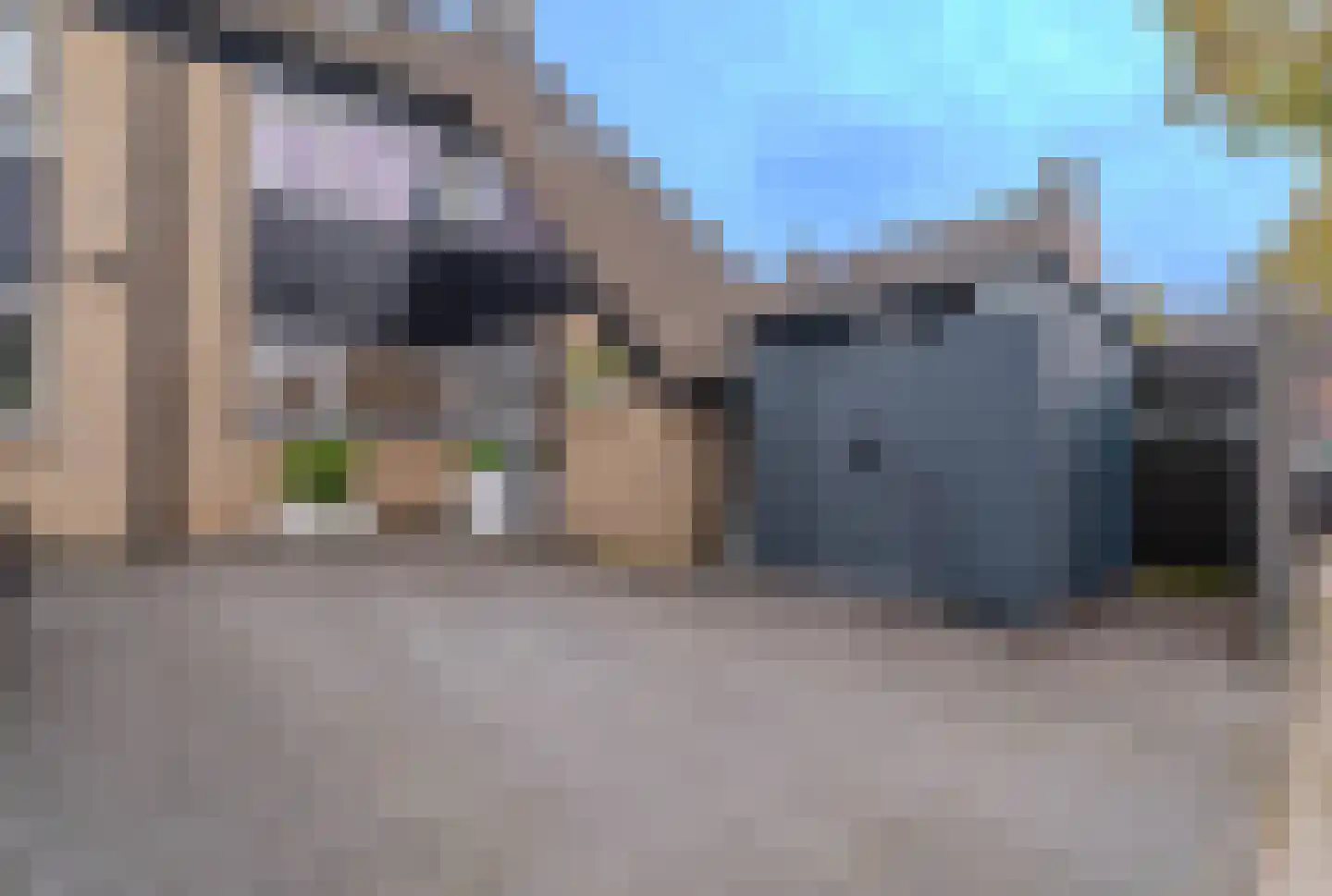 Meidoorn 43 Poortugaal thumbnail 9