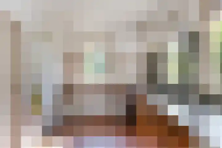 Meidoorn 44 Geldrop foto 3
