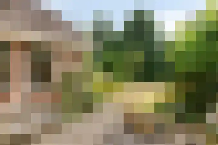 Meidoorn 44 Geldrop thumbnail 34