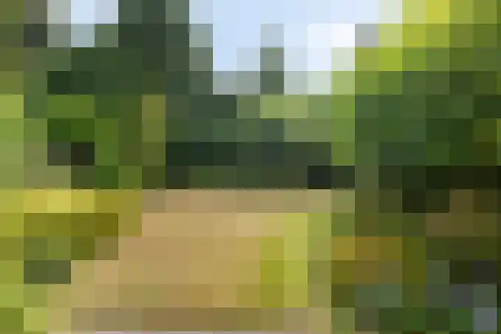 Meidoorn 44 Geldrop thumbnail 35