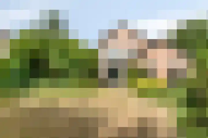 Meidoorn 44 Geldrop thumbnail 36