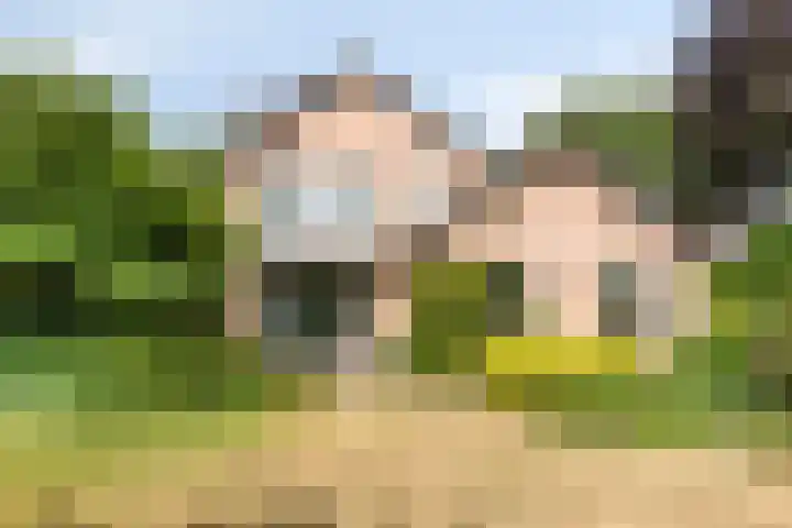Meidoorn 44 Geldrop thumbnail 37