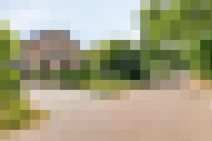 Meidoorn 44 Geldrop thumbnail 39