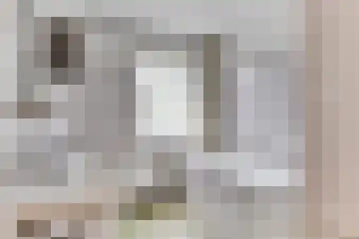 Meidoorn 44 Geldrop thumbnail 4