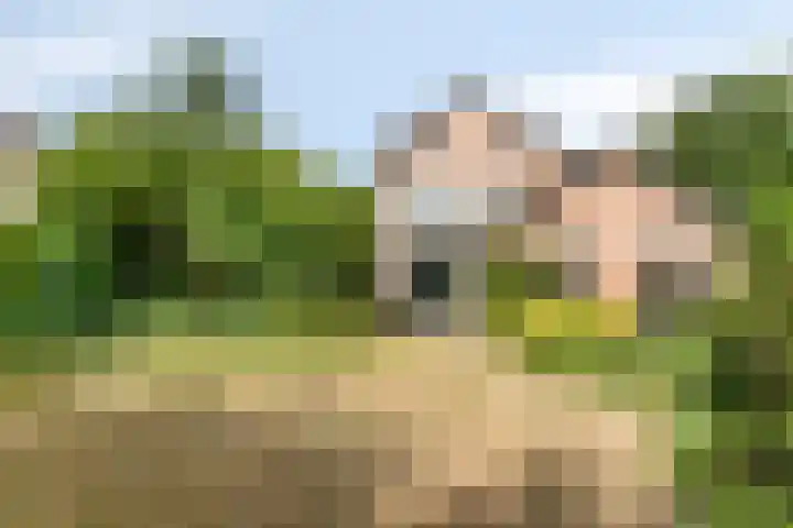 Meidoorn 44 Geldrop thumbnail 6