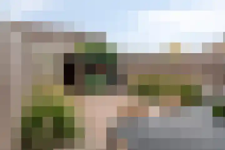 Meidoorn 45 Prinsenbeek thumbnail 26