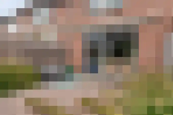 Meidoorn 45 Prinsenbeek thumbnail 27