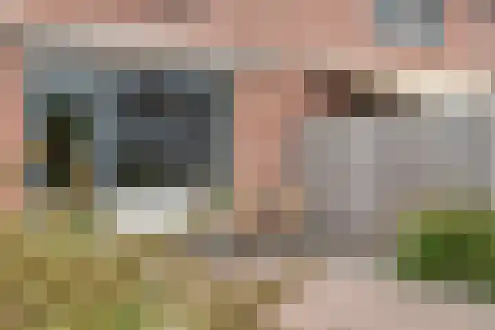 Meidoorn 45 Prinsenbeek thumbnail 28