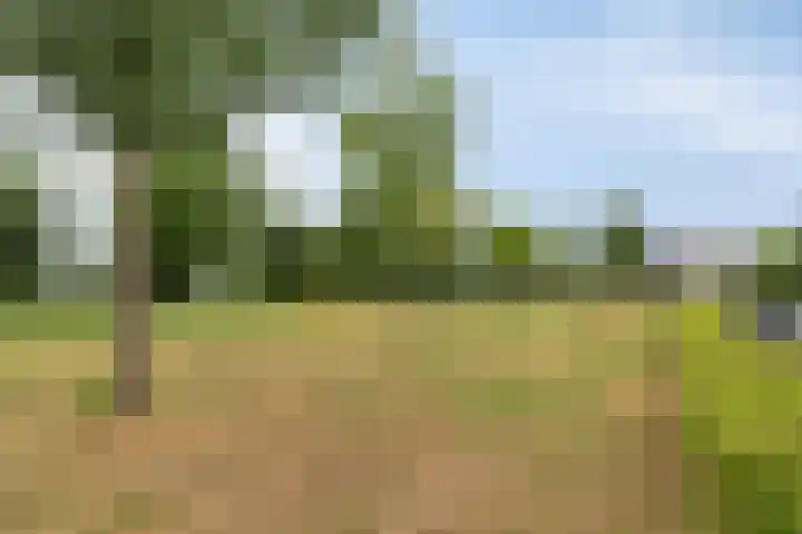 Meidoorn 45 Prinsenbeek thumbnail 29