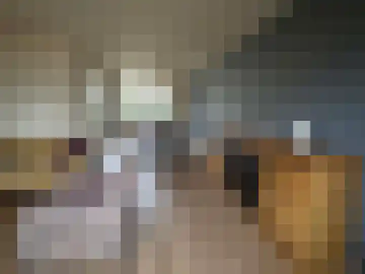 Meidoorn 5 Coevorden thumbnail 13