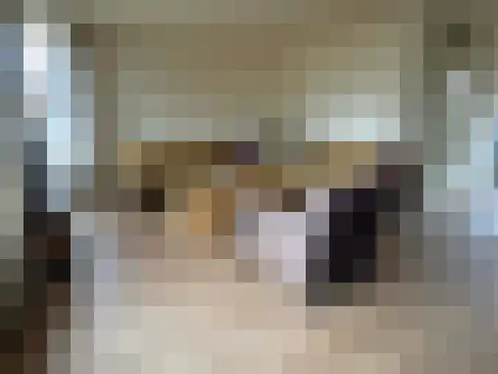 Meidoorn 5 Coevorden thumbnail 4