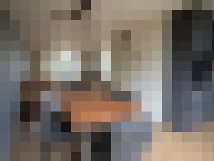Meidoorn 5 Coevorden thumbnail 5