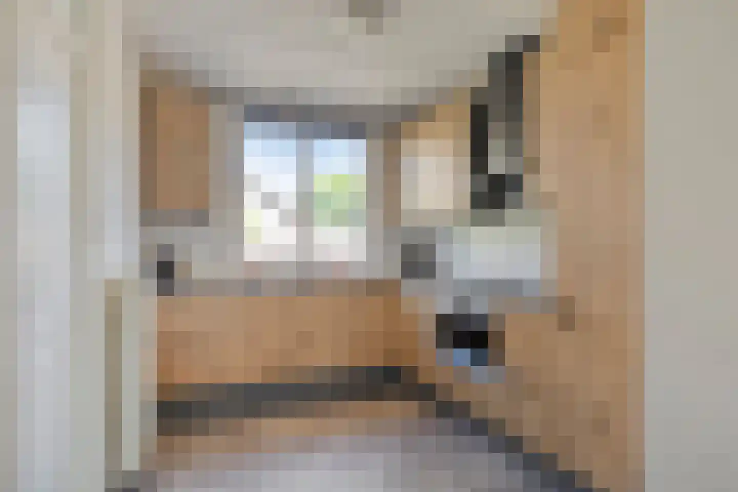 Meidoorn 51 Mierlo thumbnail 13
