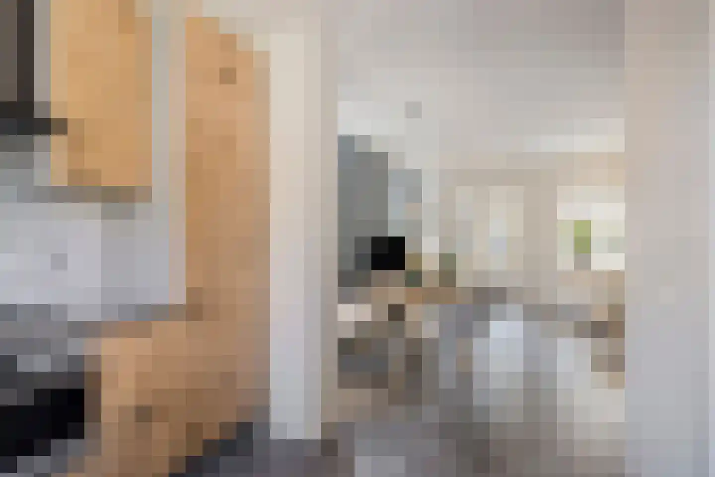 Meidoorn 51 Mierlo thumbnail 15