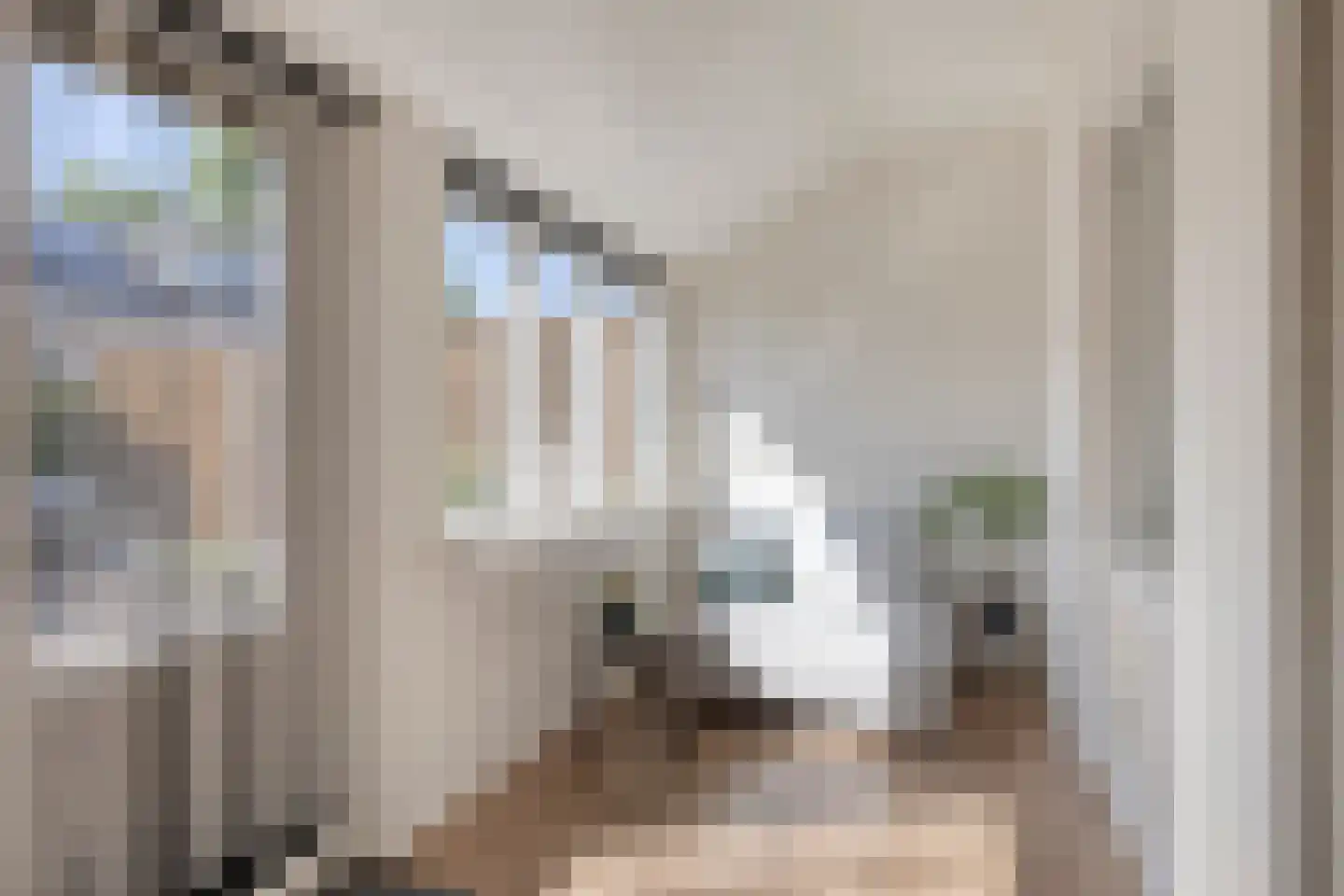 Meidoorn 51 Mierlo thumbnail 22