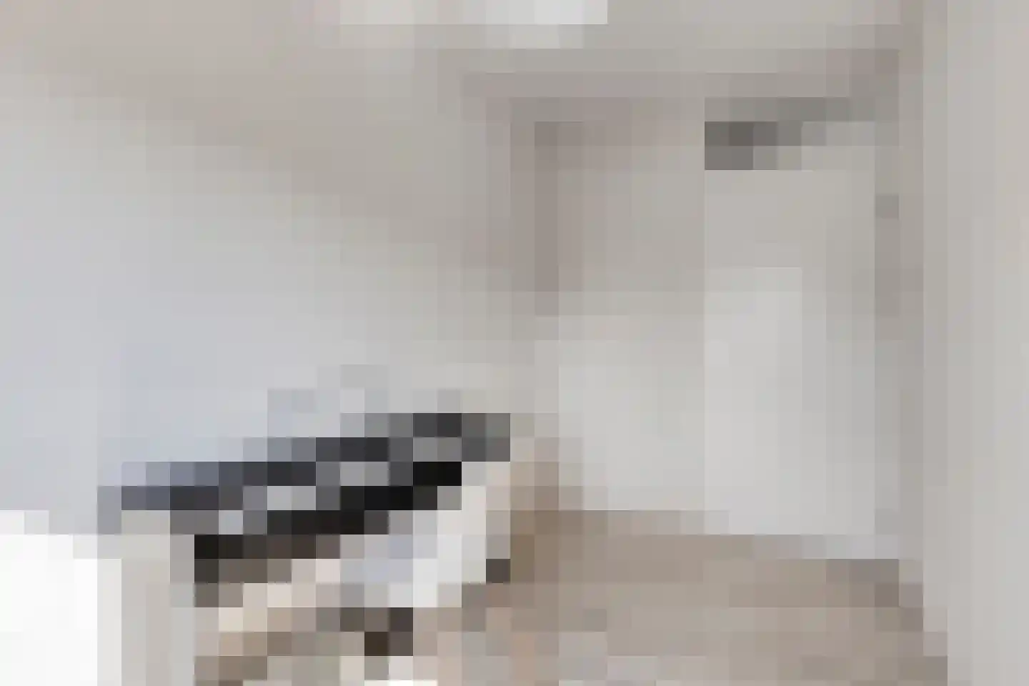 Meidoorn 51 Mierlo thumbnail 31