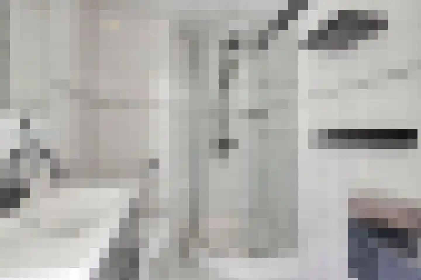 Meidoorn 51 Mierlo thumbnail 32