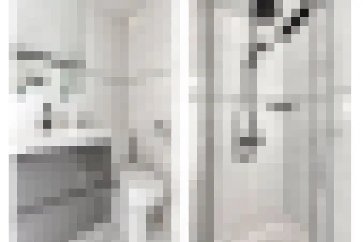 Meidoorn 51 Mierlo thumbnail 33