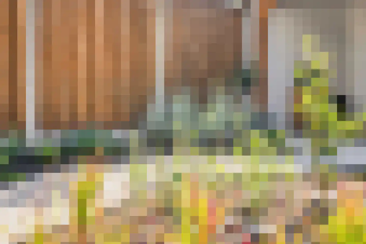 Meidoorn 51 Mierlo thumbnail 38