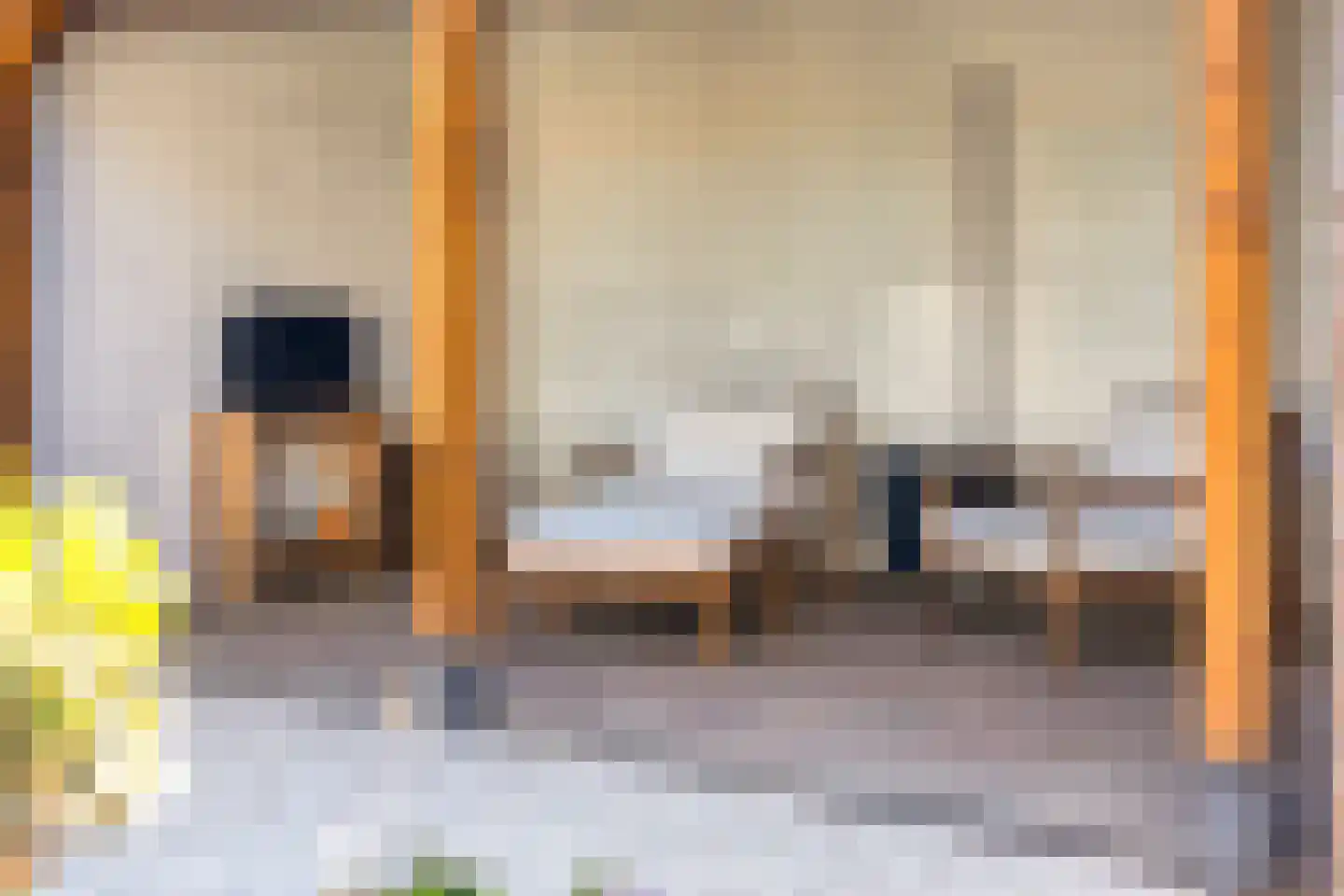 Meidoorn 51 Mierlo thumbnail 40