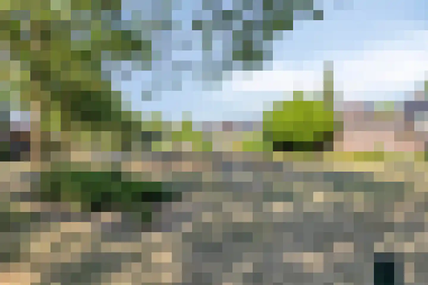 Meidoorn 51 Mierlo thumbnail 48