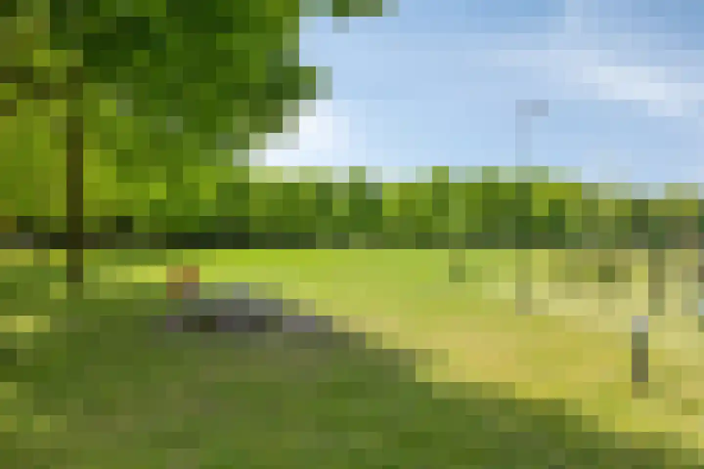 Meidoorn 51 Mierlo thumbnail 51