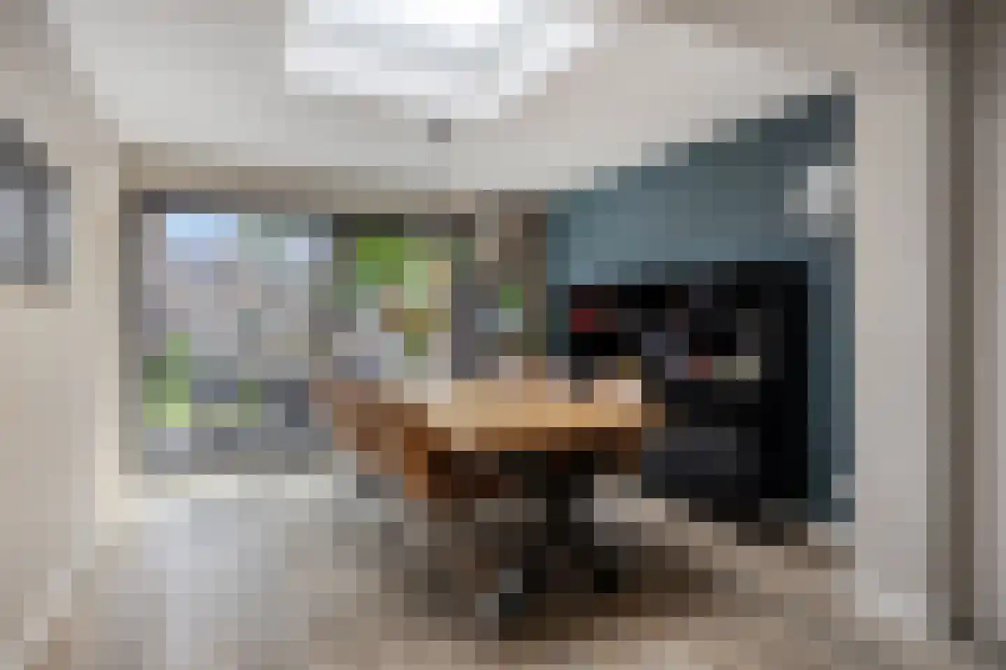 Meidoorn 59 Heino thumbnail 20