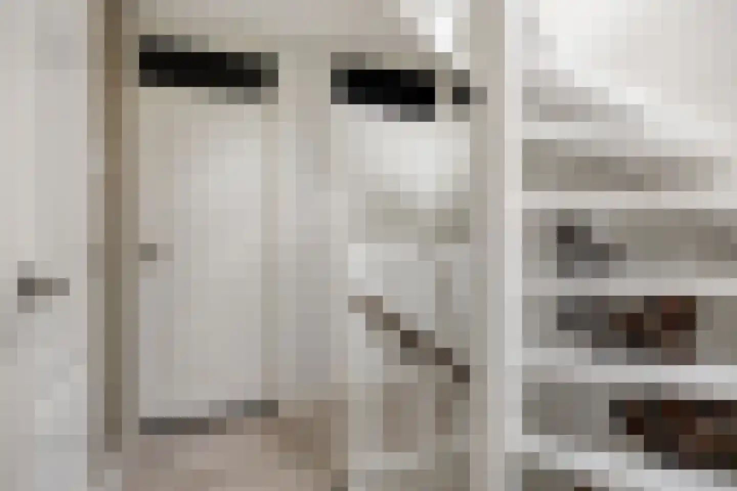 Meidoorn 59 Heino thumbnail 26