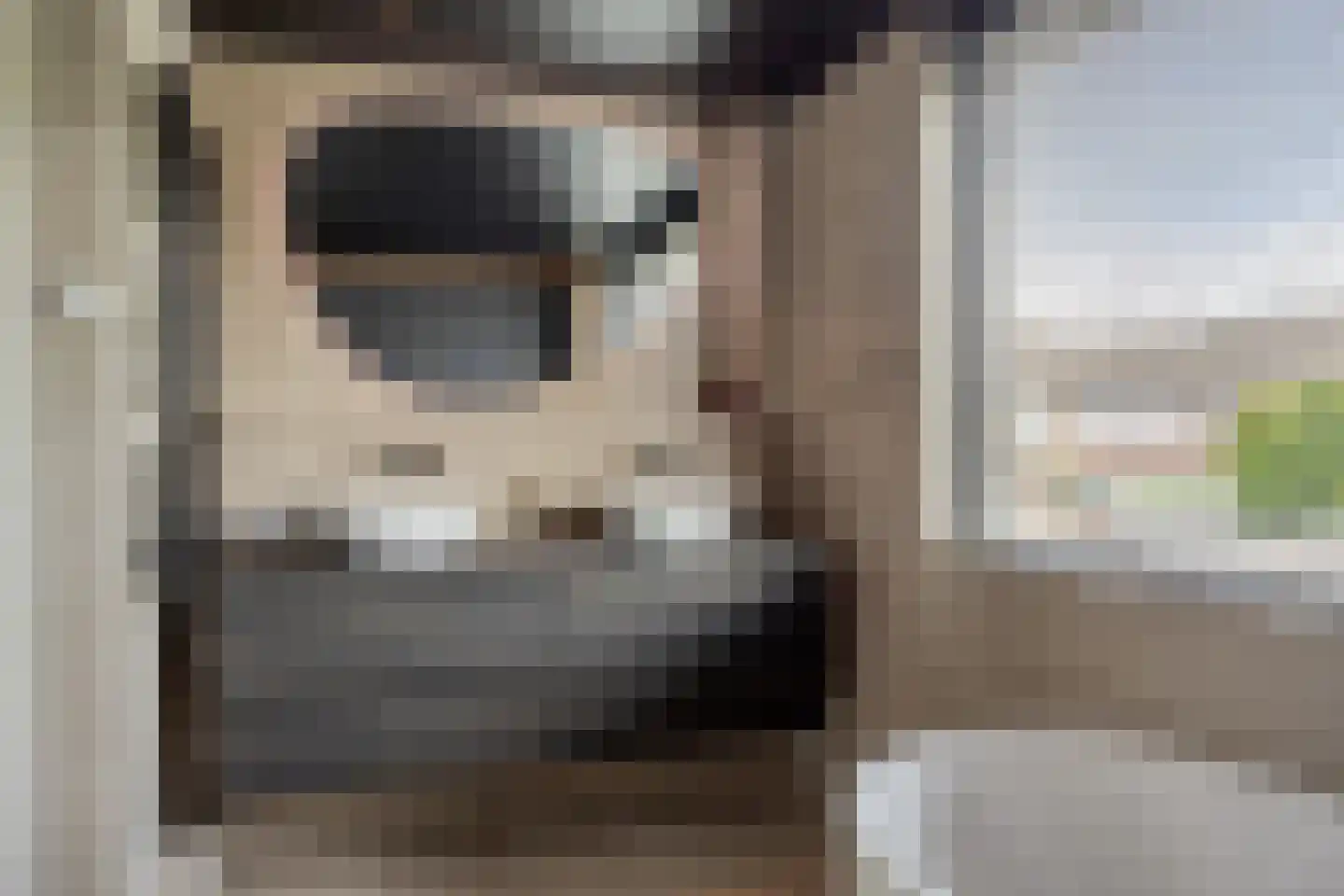 Meidoorn 59 Heino thumbnail 31