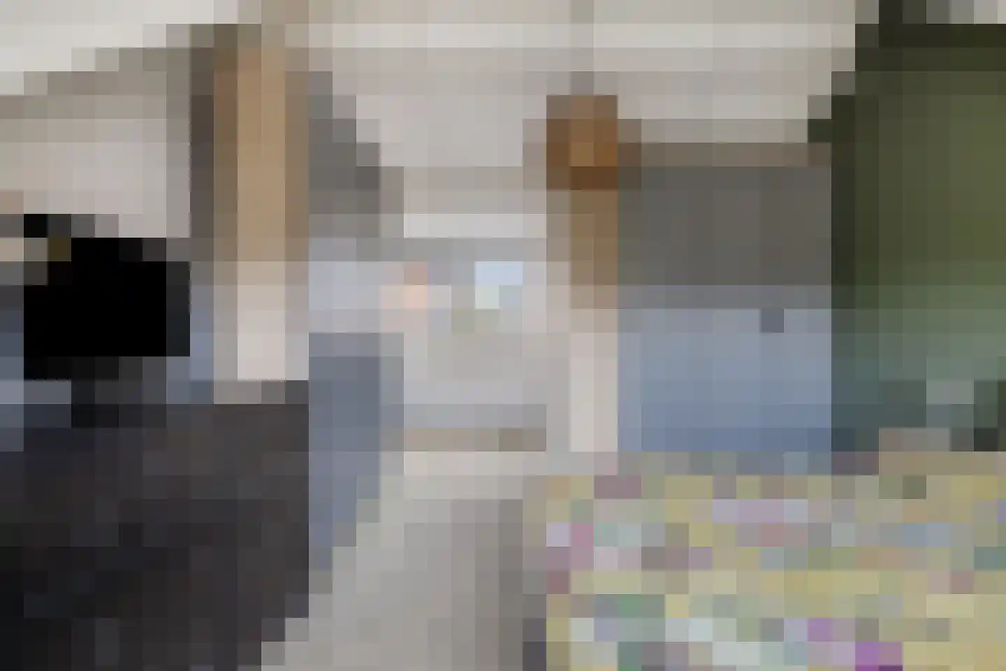 Meidoorn 59 Heino thumbnail 38
