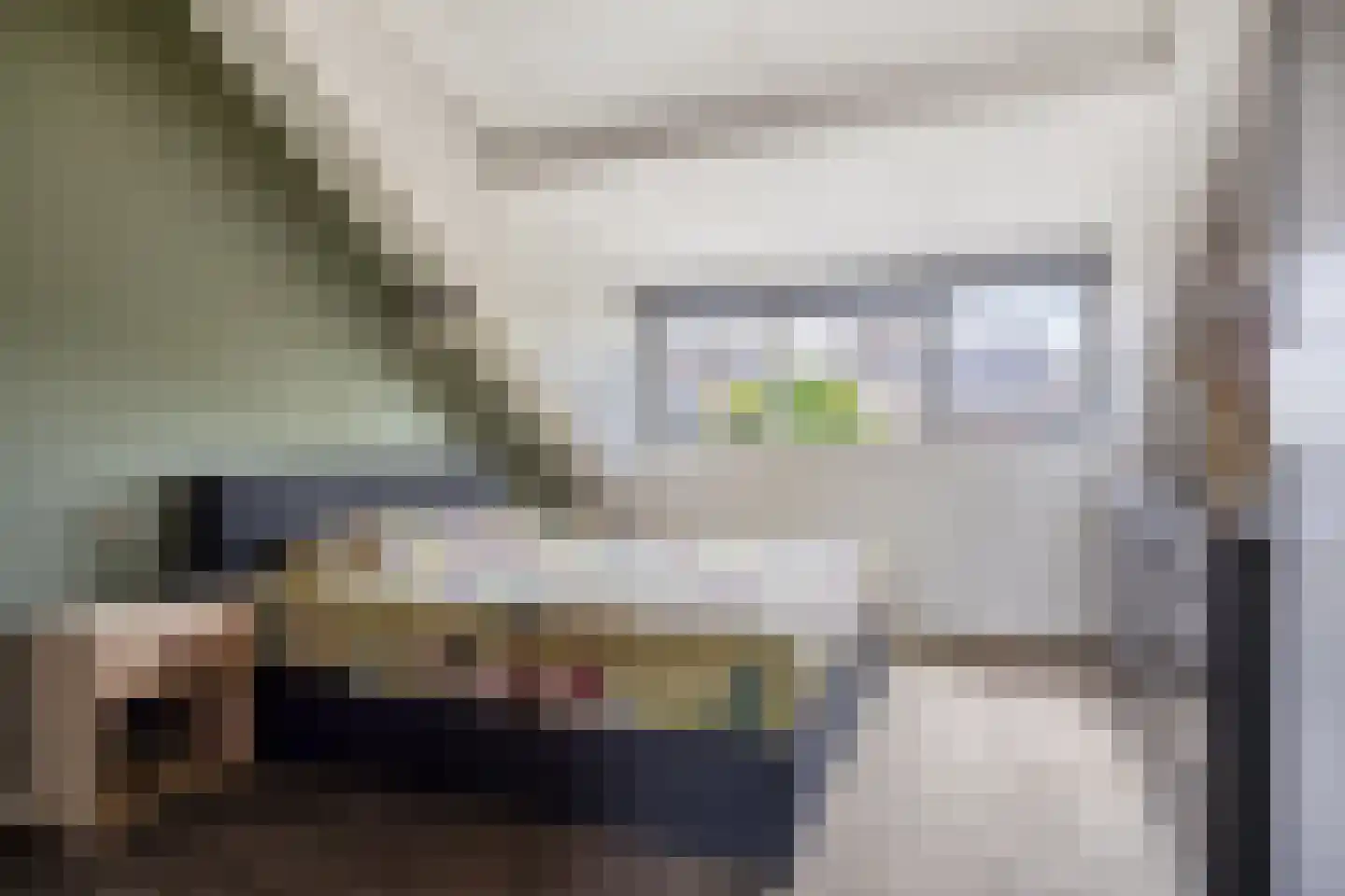 Meidoorn 59 Heino thumbnail 39