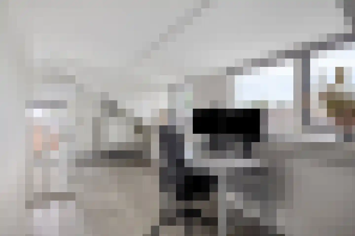 Meidoorn 59 Heino thumbnail 40
