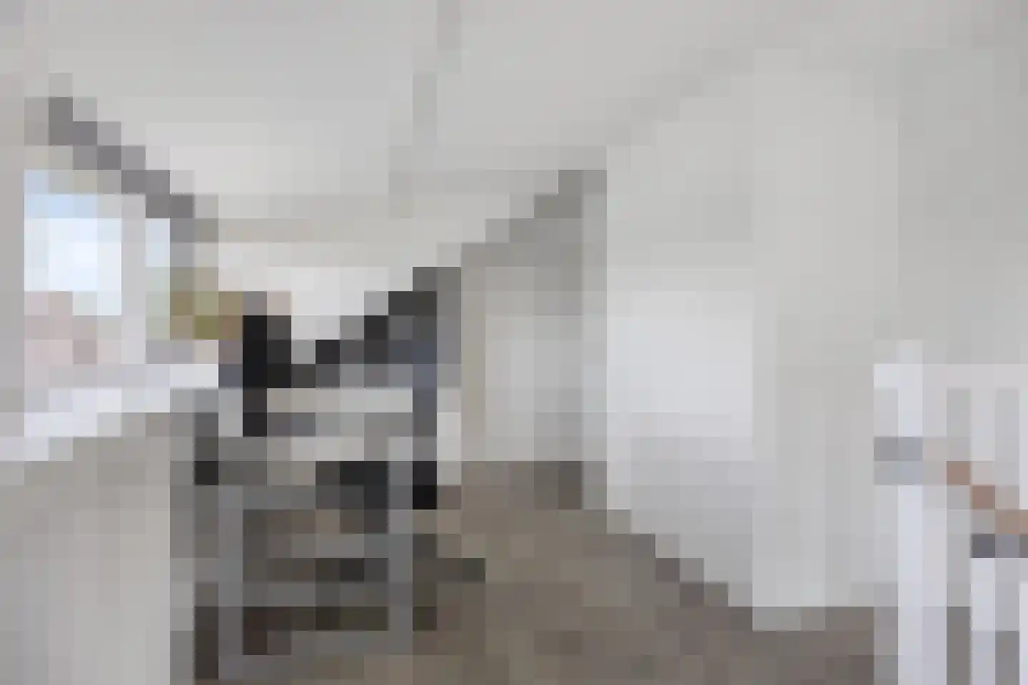 Meidoorn 59 Heino thumbnail 41