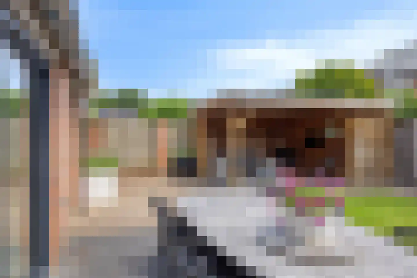 Meidoorn 59 Heino thumbnail 51