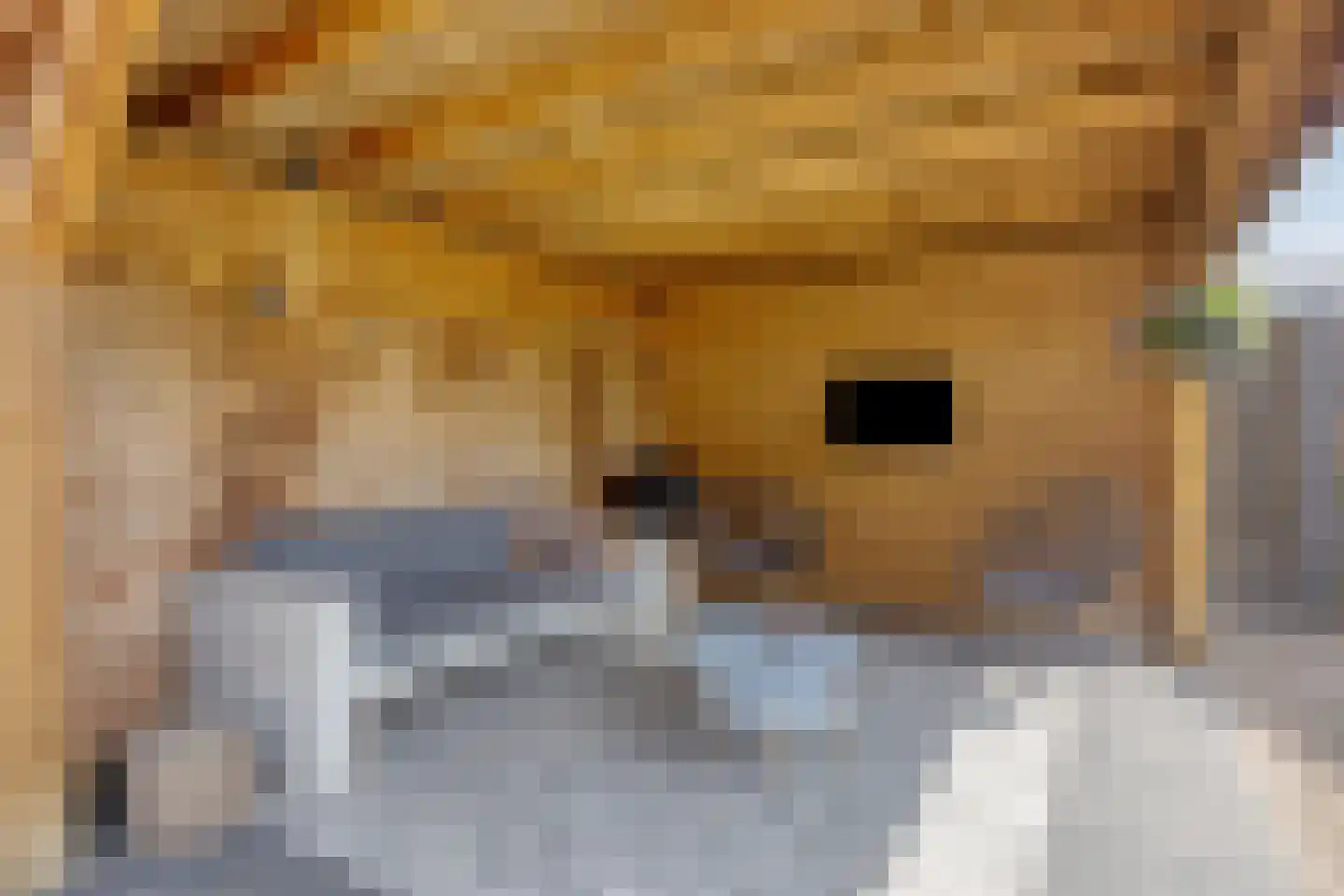 Meidoorn 59 Heino thumbnail 53