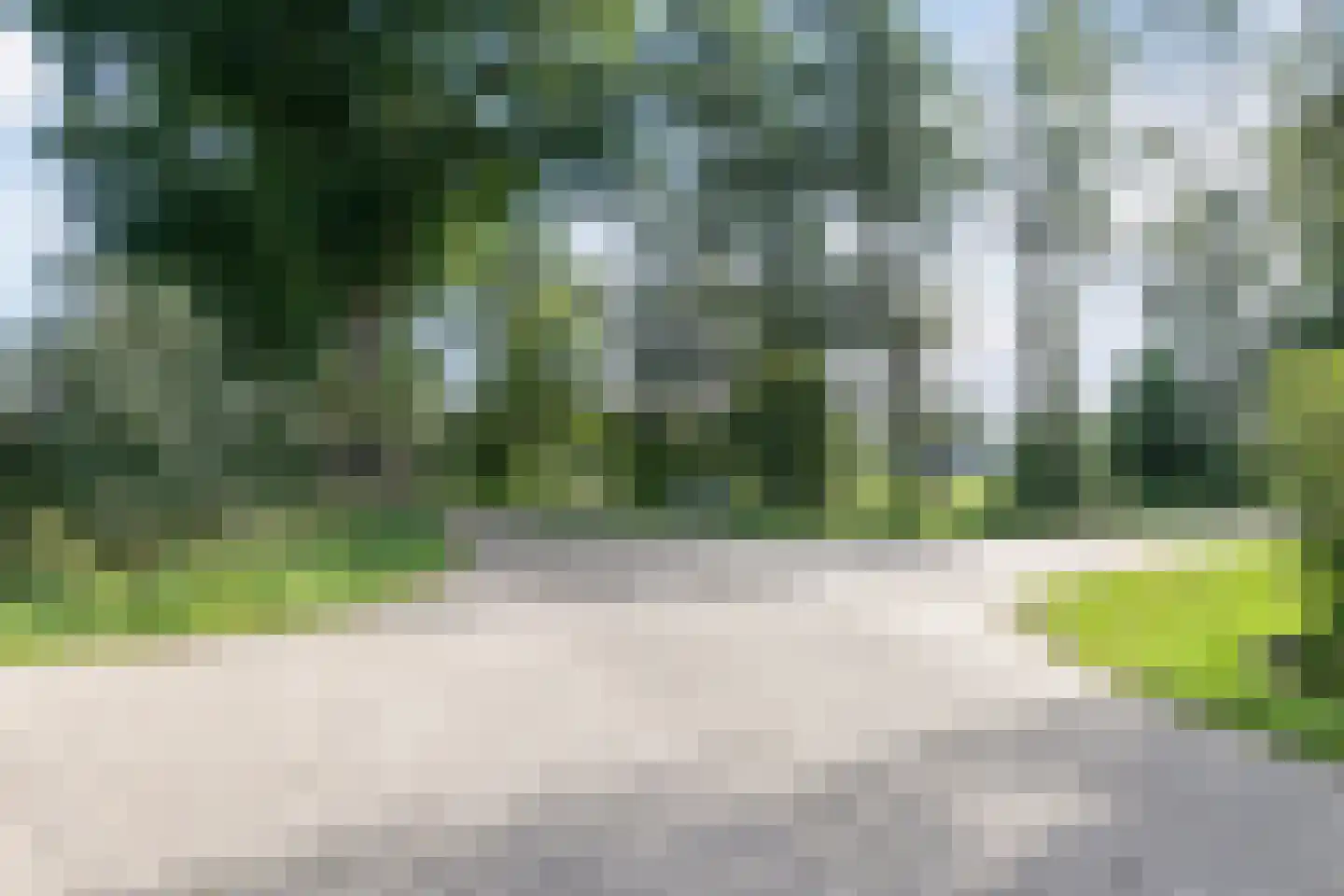 Meidoorn 59 Heino thumbnail 58