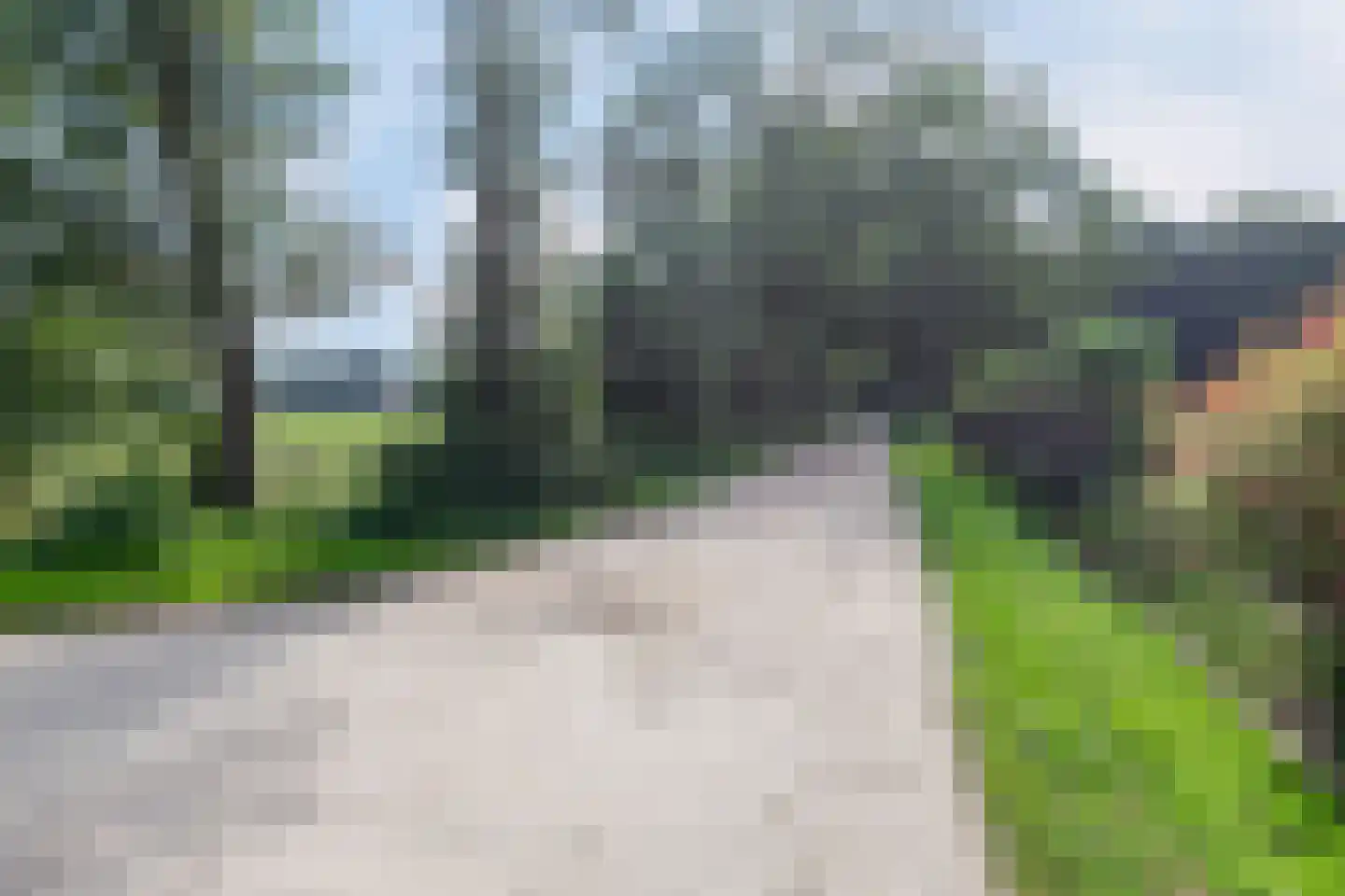 Meidoorn 59 Heino thumbnail 59
