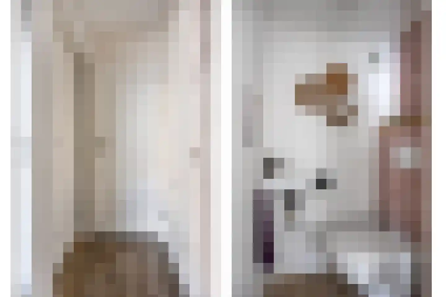 Meidoorn 59 Heino thumbnail 6