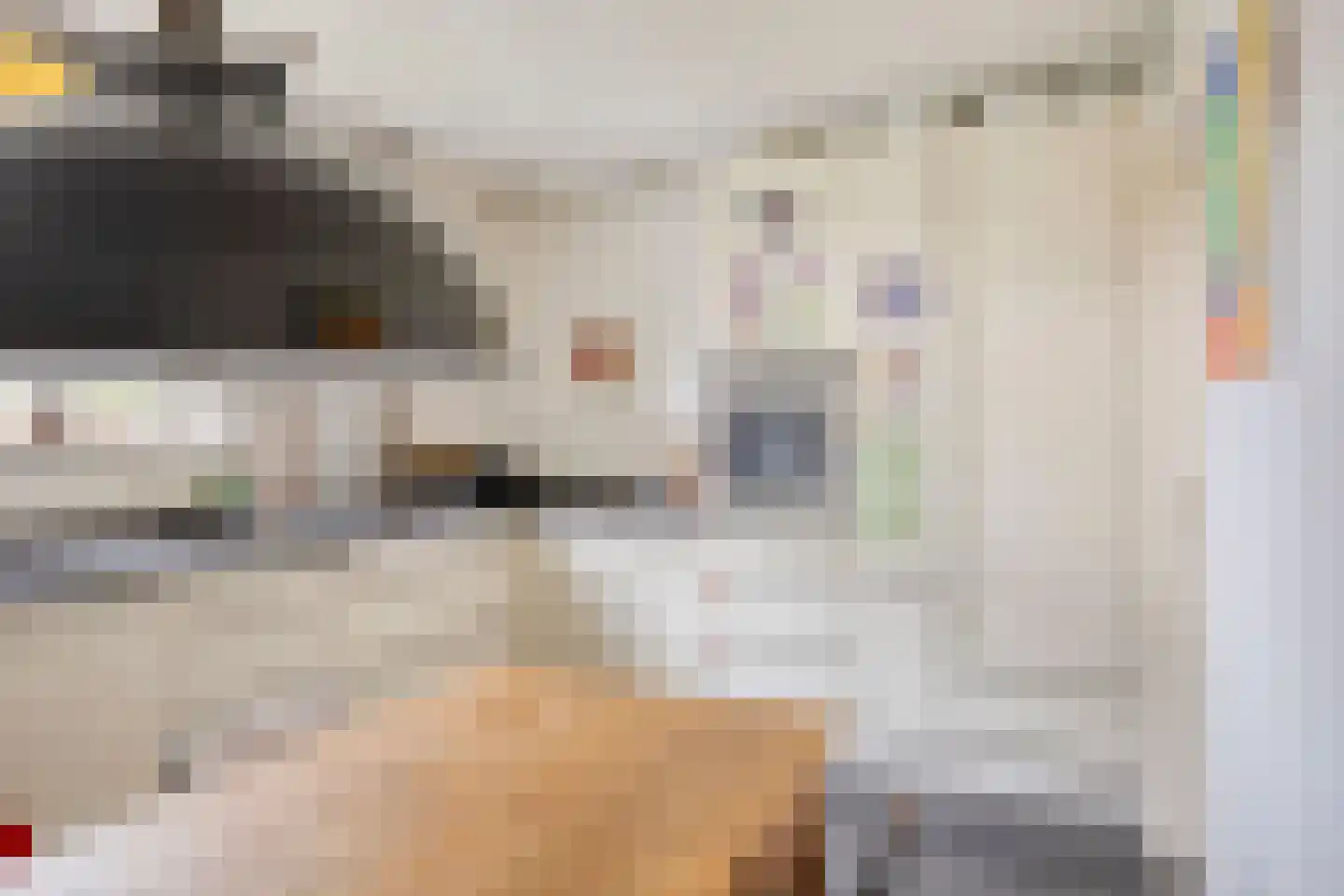 Meidoorn 62 Maastricht thumbnail 15