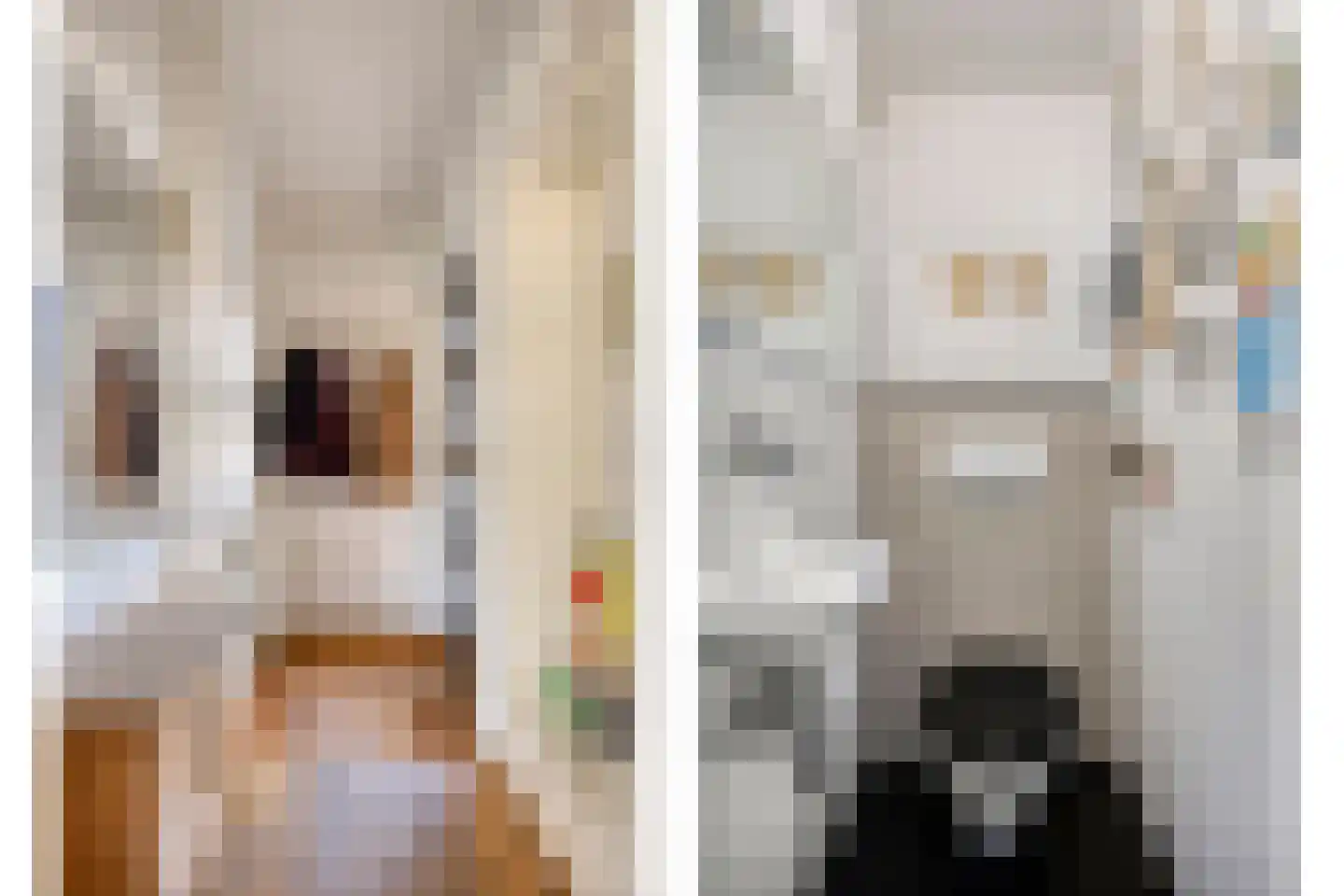 Meidoorn 62 Maastricht thumbnail 37