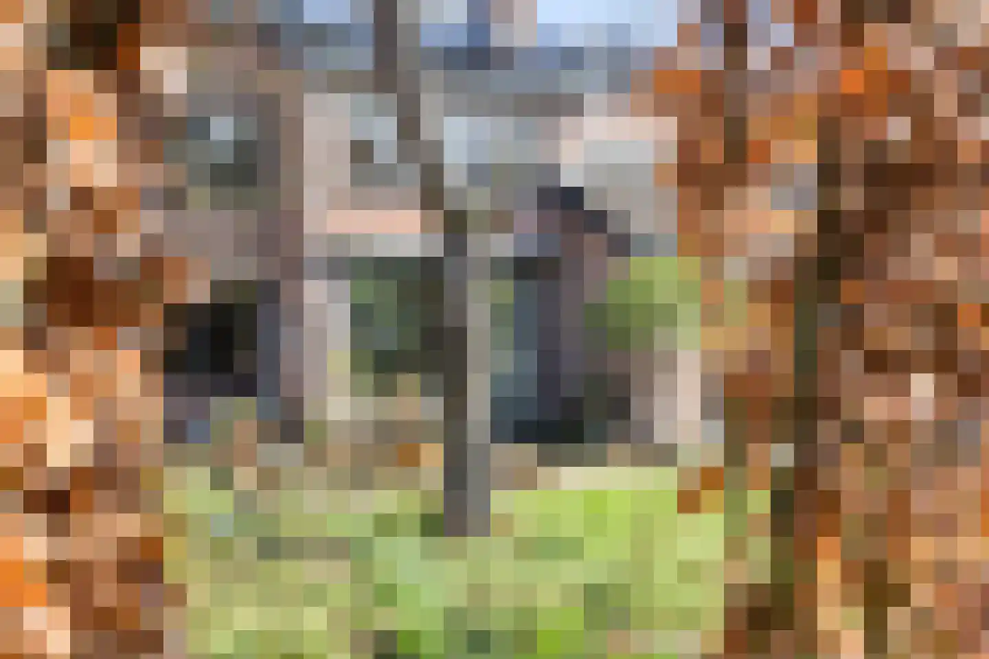 Meidoorn 62 Maastricht thumbnail 42