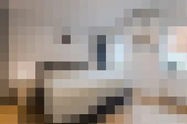 Meidoorn 67 Cuijk thumbnail 11