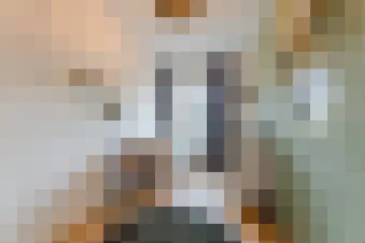 Meidoorn 67 Cuijk thumbnail 14