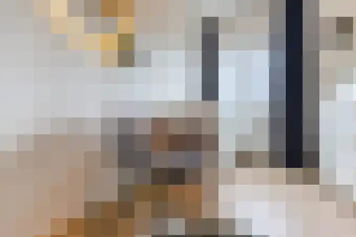 Meidoorn 67 Cuijk thumbnail 15