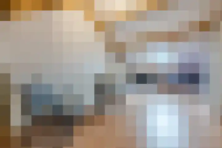 Meidoorn 67 Cuijk thumbnail 20