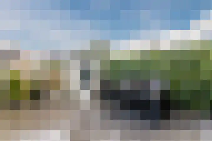 Meidoorn 67 Cuijk thumbnail 22