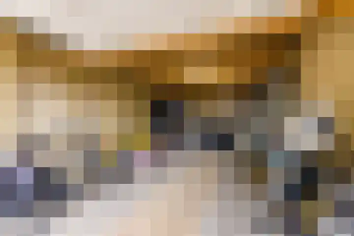 Meidoorn 67 Cuijk thumbnail 23
