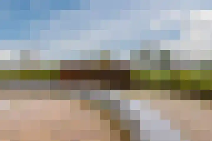 Meidoorn 67 Cuijk thumbnail 27