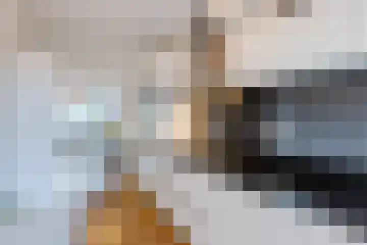 Meidoorn 67 Cuijk thumbnail 9