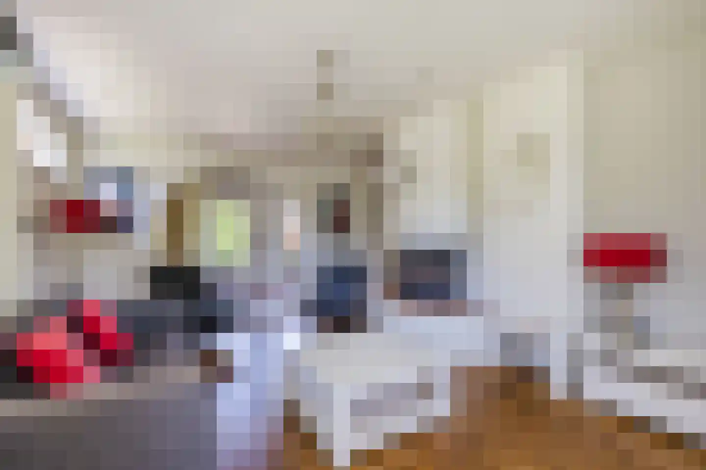 Meidoorn 7 Gieten thumbnail 14